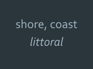 shore, coast
  littoral
 