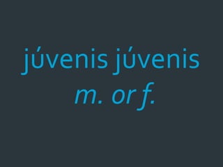 júvenis júvenis
    m. or f.
 