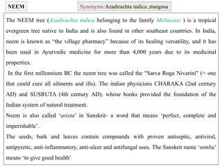 NEEM
The NEEM tree (Azadirachta indica belonging to the family Meliaceae ) is a tropical
evergreen tree native to India and is also found in other southeast countries. In India,
neem is known as “the village pharmacy” because of its healing versatility, and it has
been used in Ayurvedic medicine for more than 4,000 years due to its medicinal
properties.
In the first millennium BC the neem tree was called the "Sarva Roga Nivarini" (= one
that could cure all ailments and ills). The indian physicians CHARAKA (2nd century
AD) and SUSRUTA (4th century AD), whose books provided the foundation of the
Indian system of natural treatment.
Neem is also called ‘arista’ in Sanskrit- a word that means ‘perfect, complete and
imperishable’.
The seeds, bark and leaves contain compounds with proven antiseptic, antiviral,
antipyretic, anti-inflammatory, anti-ulcer and antifungal uses. The Sanskrit name ‘nimba’
means ‘to give good health’
Synonyms:Azadirachta indica ,margosa
 