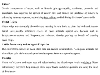 Cancer
Certain components of neem, such as limonin glucopyranoside, azadirone, quercetin and
kaemferol, may suppress the growth of cancer cells and reduce the incidence of tumors by
enhancing immune response, neutralizing free radicals and inhibiting division of cancer cells
Dental Health
Neem twigs are commonly chewed every morning in rural India to clean the teeth and prevent
dental infections.the inhibitory effects of neem extracts against oral bacteria such as
Streptococcus mutans and Streptococcus salivarus, thereby proving the benefit of chewing
neem twigs.
Anti-inflammatory and Analgesic Properties
The chloroform extracts of neem stem bark can reduce inflammation. Neem plant extracts can
also relieve pain via brain and spinal cord receptors known as opioid receptors.
Diabetes
Neem leaf extracts and neem seed oil helped reduce the blood sugar levels in diabetic Neem
extracts may, therefore, help manage blood sugar levels in diabetes patients and delay the onset
of the disease.
 