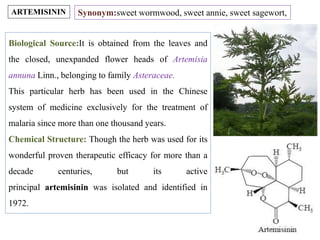 Biological Source:It is obtained from the leaves and
the closed, unexpanded flower heads of Artemisia
annuna Linn., belonging to family Asteraceae.
This particular herb has been used in the Chinese
system of medicine exclusively for the treatment of
malaria since more than one thousand years.
Chemical Structure: Though the herb was used for its
wonderful proven therapeutic efficacy for more than a
decade centuries, but its active
principal artemisinin was isolated and identified in
1972.
ARTEMISININ Synonym:sweet wormwood, sweet annie, sweet sagewort,
 