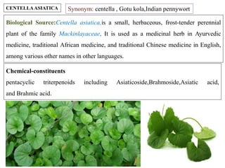 CENTELLAASIATICA Synonym: centella , Gotu kola,Indian pennywort
Biological Source:Centella asiatica,is a small, herbaceous, frost-tender perennial
plant of the family Mackinlayaceae, It is used as a medicinal herb in Ayurvedic
medicine, traditional African medicine, and traditional Chinese medicine in English,
among various other names in other languages.
Chemical-constituents
pentacyclic triterpenoids including Asiaticoside,Brahmoside,Asiatic acid,
and Brahmic acid.
 