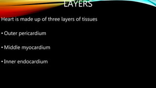 LAYERS
Heart is made up of three layers of tissues
• Outer pericardium
• Middle myocardium
• Inner endocardium
 