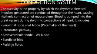 CONDUCTION SYSTEM
Conductivity is the property by which the rhythmic electrical
impulses generated are conducted throughout the heart, causing
rhythmic contraction of myocardium. Blood is pumped into the
great vessels during rhythmic contractions of heart. It includes
• Sinoatrial node – SA Node (Pacemaker of the heart)
• Internothal pathway
• Atrioventricular node – AV Node
• Bundle of hips
• Purkinje fibres
 