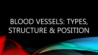BLOOD VESSELS: TYPES,
STRUCTURE & POSITION
 