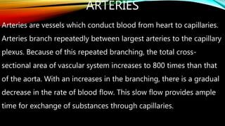 ARTERIES
Arteries are vessels which conduct blood from heart to capillaries.
Arteries branch repeatedly between largest arteries to the capillary
plexus. Because of this repeated branching, the total cross-
sectional area of vascular system increases to 800 times than that
of the aorta. With an increases in the branching, there is a gradual
decrease in the rate of blood flow. This slow flow provides ample
time for exchange of substances through capillaries.
 