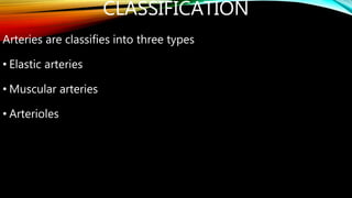 CLASSIFICATION
Arteries are classifies into three types
• Elastic arteries
• Muscular arteries
• Arterioles
 