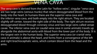 VENA CAVA
The vena cava is derived from the Latin for "hollow veins", singular "vena cava
are two large veins (venous trunks) that return deoxygenated blood from the
body into the heart. In humans there are the superior vena cava and
the inferior vena cava, and both empty into the right atrium. They are located
slightly off-center, toward the right side of the body. The right atrium receives
deoxygenated blood through coronary sinus and two large veins called venae
cavae. The inferior vena cava (or caudal vena cava in some animals) travels up
alongside the abdominal aorta with blood from the lower part of the body. It is
the largest vein in the human body. The superior vena cava (or cranial vena
cava in animals) is above the heart, and forms from a convergence of the left
and right brachiocephalic veins, which contain blood from the head and the
arms.
 