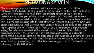 PULMONARY VEIN
The pulmonary veins are the veins that transfer oxygenated blood from
the lungs to the heart. The largest pulmonary veins are the four main pulmonary
veins, two from each lung that drain into the left atrium of the heart. The
pulmonary veins are part of the pulmonary circulation. Two main pulmonary
veins emerge from each lung hilum, receiving blood from three or four bronchial
veins apiece and draining into the left atrium. An inferior and superior main vein
drains each lung, so there are four main veins in total. At the root of the lung, the
right superior pulmonary vein lies in front of and a little below the pulmonary
artery; the inferior is situated at the lowest part of the lung hilum. Behind the
pulmonary artery is the bronchus. The right main pulmonary veins (contains
oxygenated blood) pass behind the right atrium and superior vena cava; the left in
front of the descending thoracic aorta. The pulmonary veins play an essential role
in respiration, by receiving blood that has been oxygenated in the alveoli and
returning it to the left atrium.
 