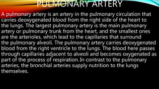 PULMONARY ARTERY
A pulmonary artery is an artery in the pulmonary circulation that
carries deoxygenated blood from the right side of the heart to
the lungs. The largest pulmonary artery is the main pulmonary
artery or pulmonary trunk from the heart, and the smallest ones
are the arterioles, which lead to the capillaries that surround
the pulmonary alveoli. The pulmonary artery carries deoxygenated
blood from the right ventricle to the lungs. The blood here passes
through capillaries adjacent to alveoli and becomes oxygenated as
part of the process of respiration. In contrast to the pulmonary
arteries, the bronchial arteries supply nutrition to the lungs
themselves.
 