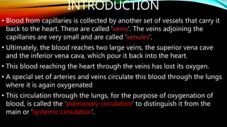 INTRODUCTION
• Blood from capillaries is collected by another set of vessels that carry it
back to the heart. These are called ‘veins’. The veins adjoining the
capillaries are very small and are called ‘venules’.
• Ultimately, the blood reaches two large veins, the superior vena cave
and the inferior vena cava, which pour it back into the heart.
• This blood reaching the heart through the veins has lost its oxygen.
• A special set of arteries and veins circulate this blood through the lungs
where it is again oxygenated
• This circulation through the lungs, for the purpose of oxygenation of
blood, is called the ‘pulmonary circulation’ to distinguish it from the
main or ‘systemic circulation’.
 