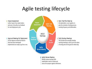 Agile testing lifecycle
 