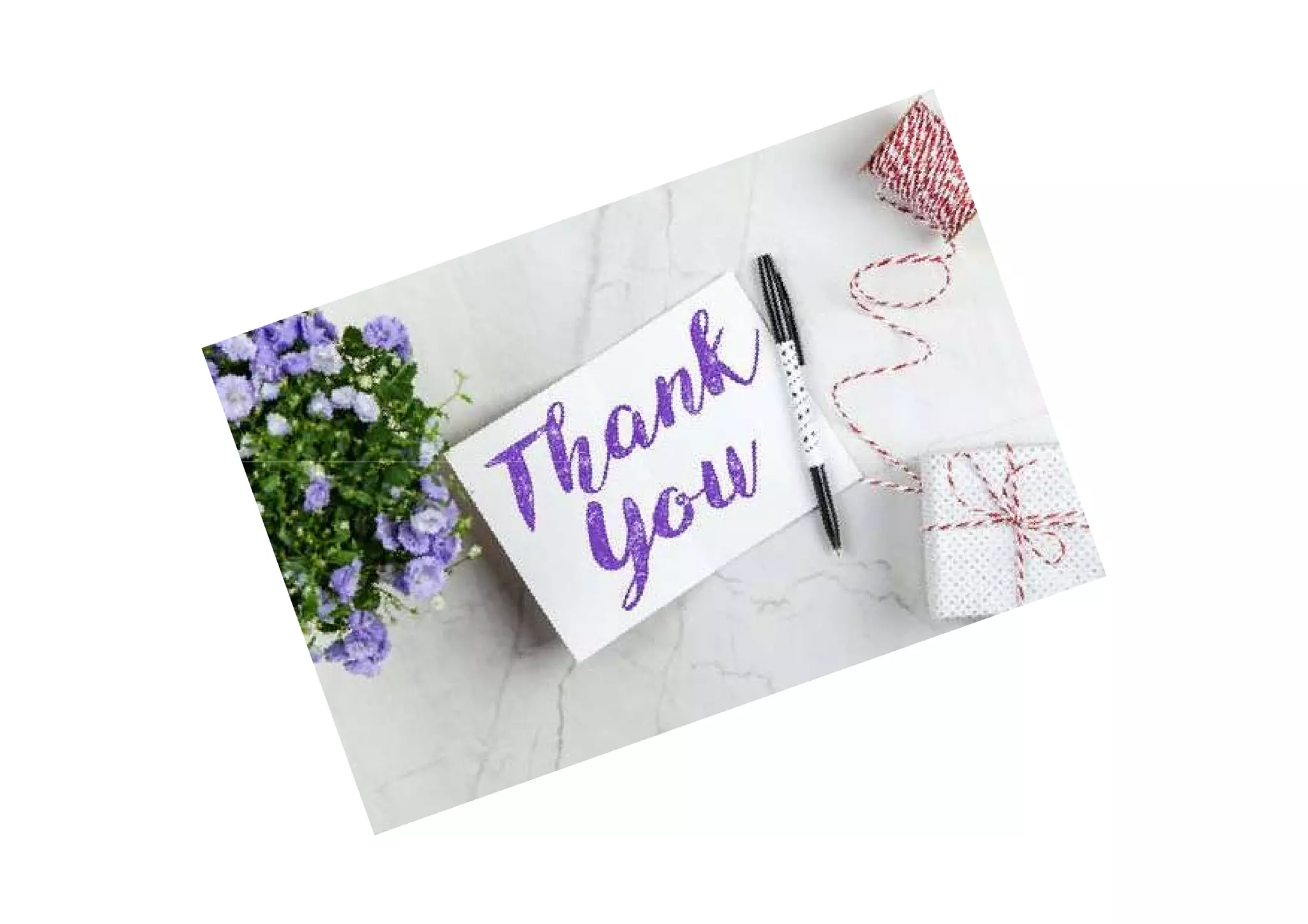 IV- Depository Services