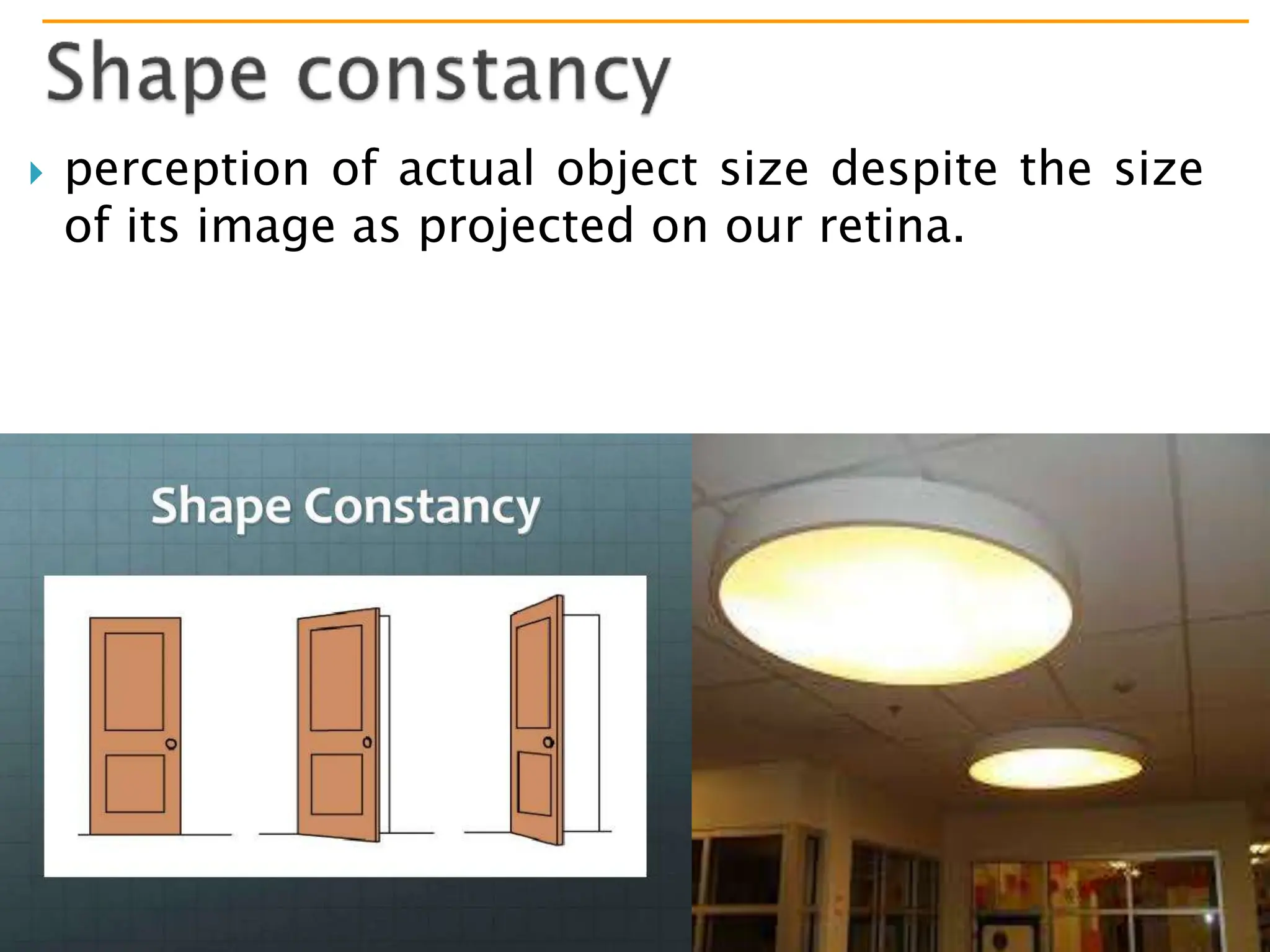 Copyright © 2012 Pearson Education, Inc., publishing as Benjamin Cummings
 perception of actual object size despite the size
of its image as projected on our retina.
 