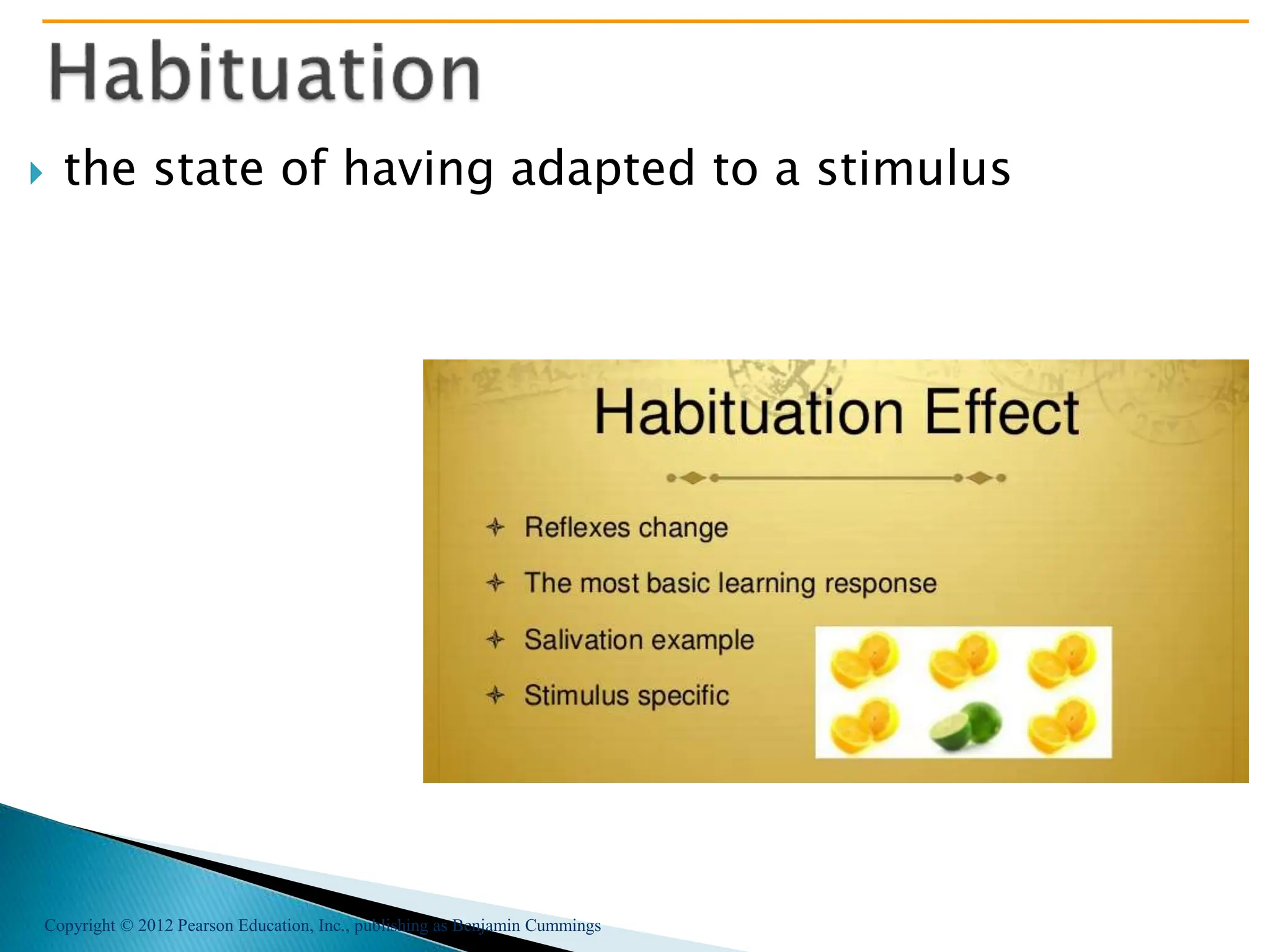 Copyright © 2012 Pearson Education, Inc., publishing as Benjamin Cummings
 the state of having adapted to a stimulus
 
