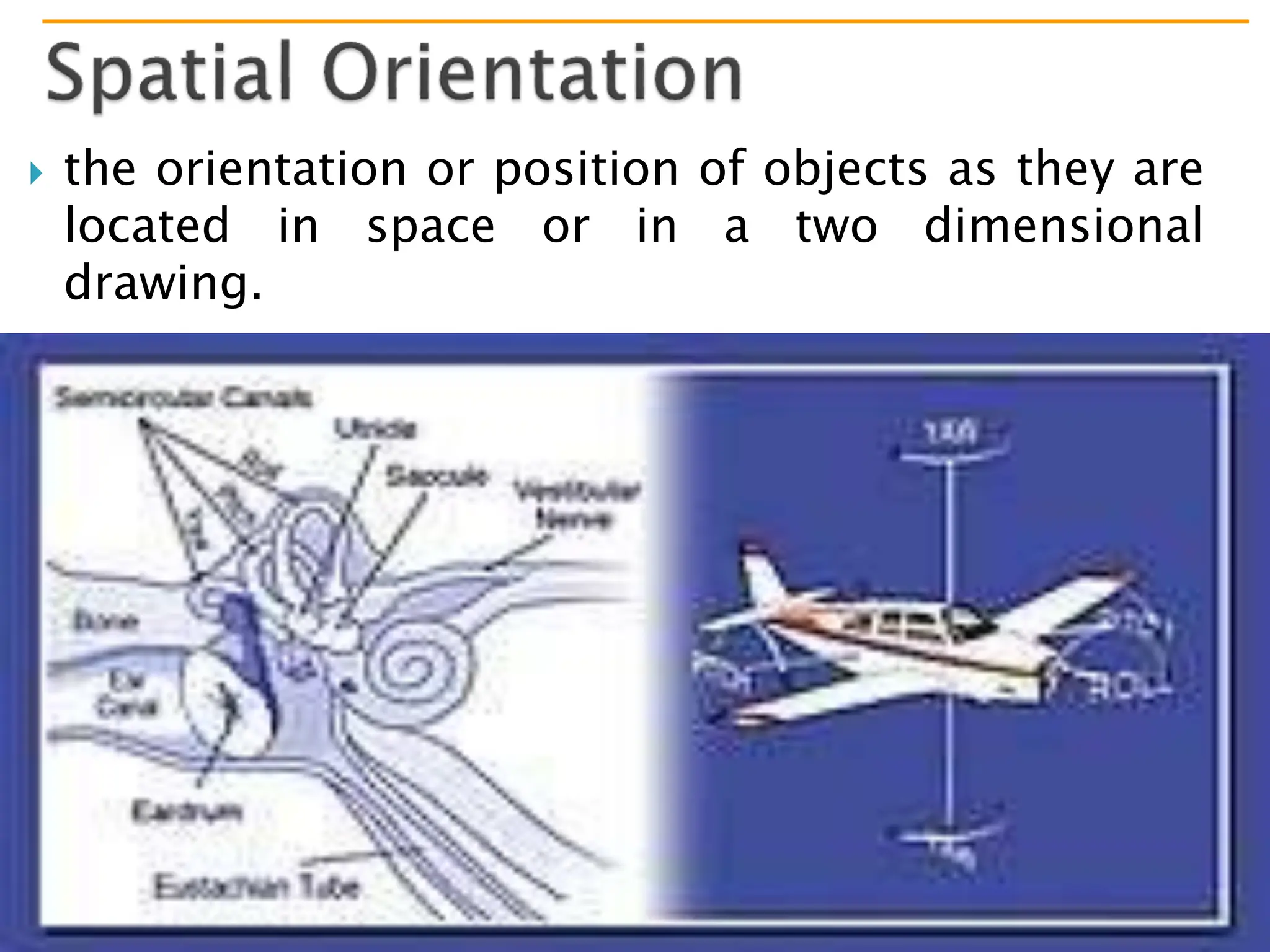 Copyright © 2012 Pearson Education, Inc., publishing as Benjamin Cummings
 the orientation or position of objects as they are
located in space or in a two dimensional
drawing.
 