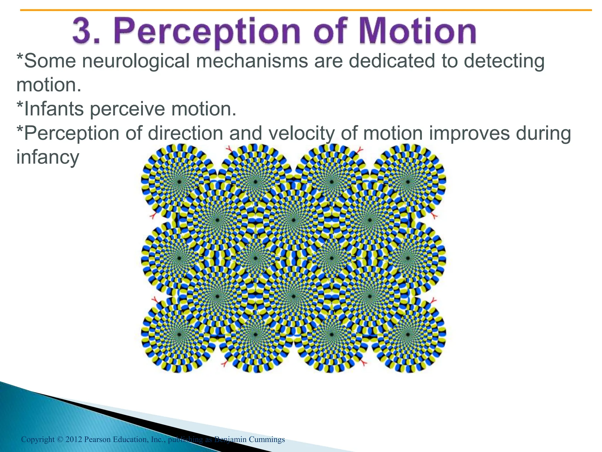 Copyright © 2012 Pearson Education, Inc., publishing as Benjamin Cummings
*Some neurological mechanisms are dedicated to detecting
motion.
*Infants perceive motion.
*Perception of direction and velocity of motion improves during
infancy
 