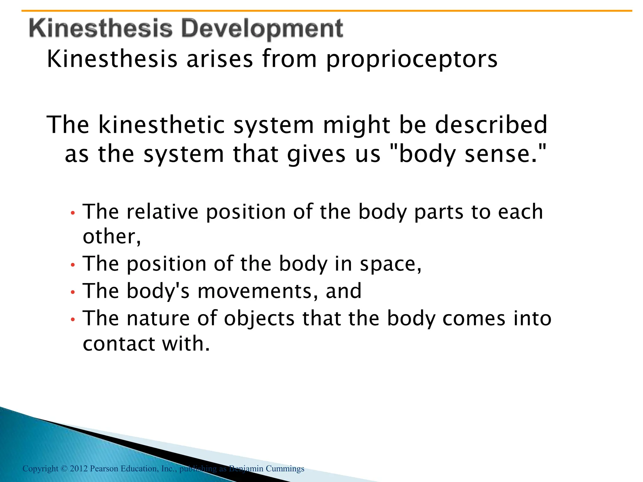 Copyright © 2012 Pearson Education, Inc., publishing as Benjamin Cummings
Kinesthesis arises from proprioceptors
The kinesthetic system might be described
as the system that gives us "body sense."
•The relative position of the body parts to each
other,
• The position of the body in space,
• The body's movements, and
•The nature of objects that the body comes into
contact with.
 