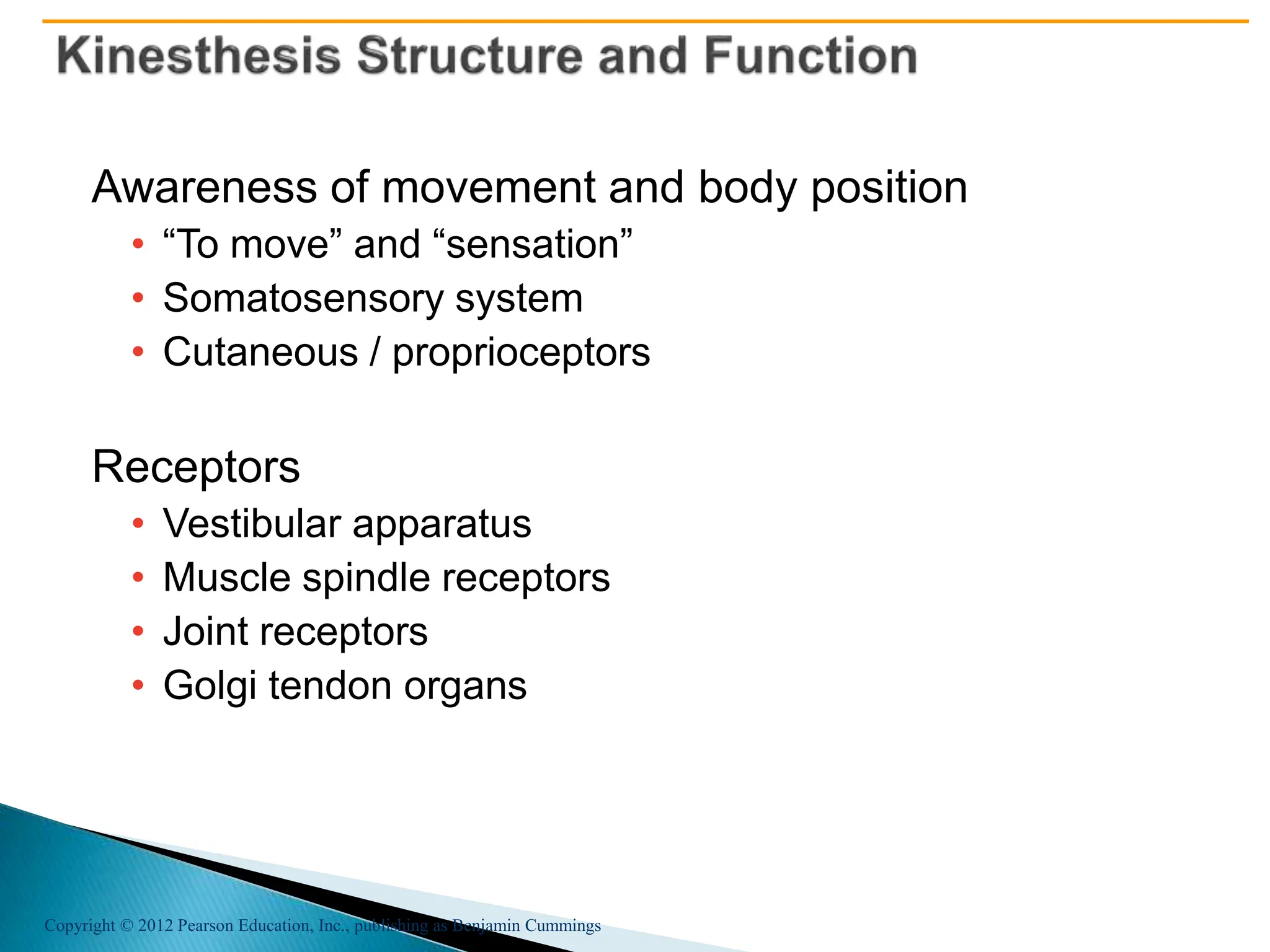 Copyright © 2012 Pearson Education, Inc., publishing as Benjamin Cummings
Awareness of movement and body position
• “To move” and “sensation”
• Somatosensory system
• Cutaneous / proprioceptors
Receptors
• Vestibular apparatus
• Muscle spindle receptors
• Joint receptors
• Golgi tendon organs
 