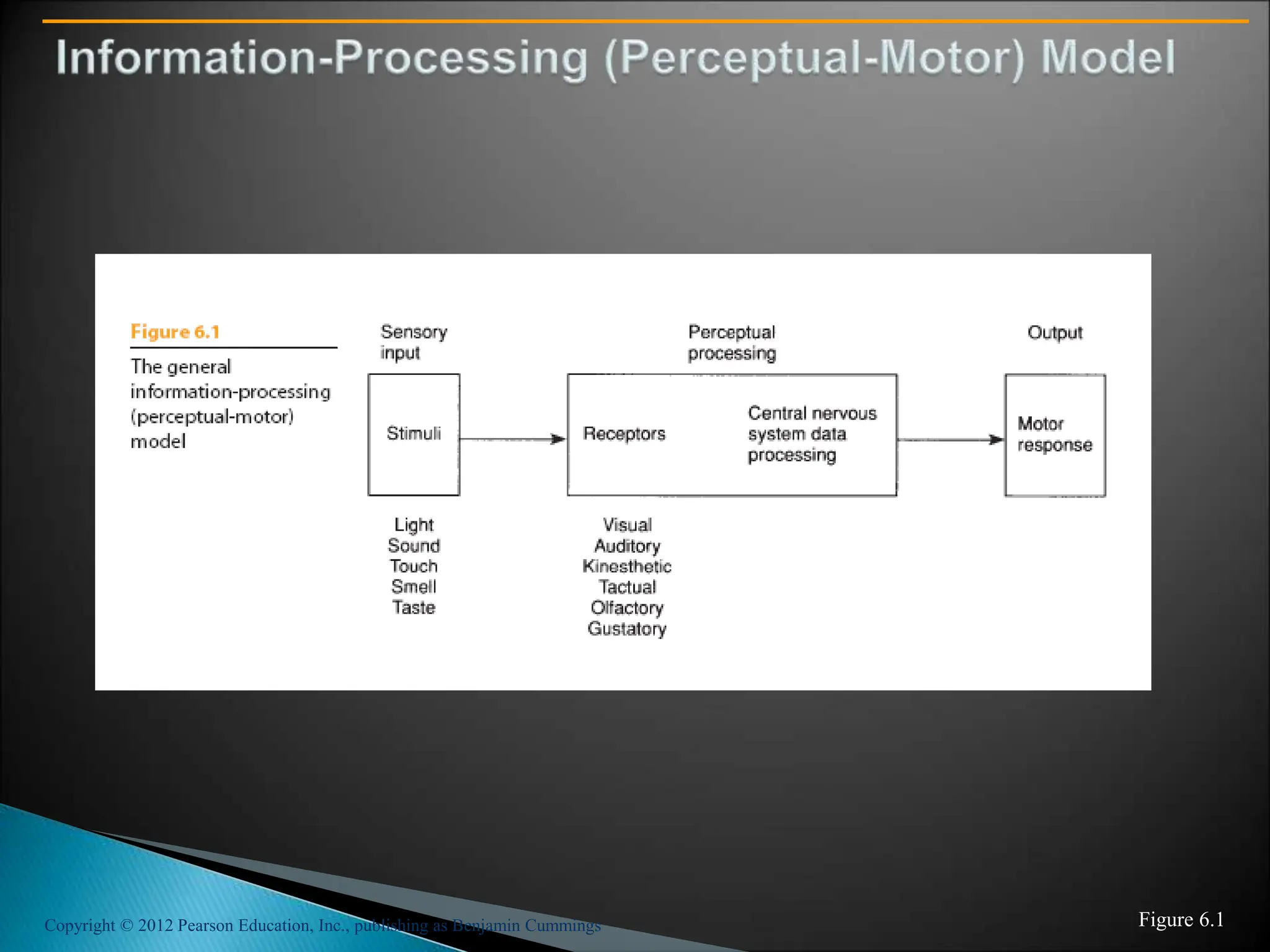 Copyright © 2012 Pearson Education, Inc., publishing as Benjamin Cummings Figure 6.1
 