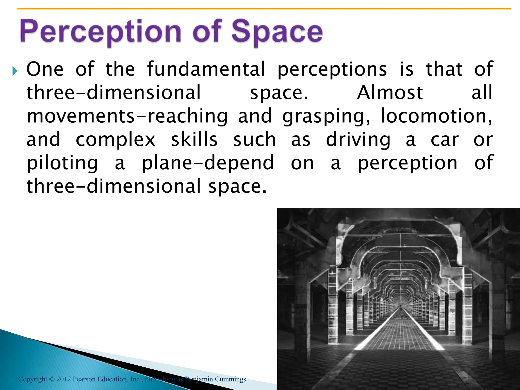 Copyright © 2012 Pearson Education, Inc., publishing as Benjamin Cummings
 One of the fundamental perceptions is that of
three-dimensional space. Almost all
movements-reaching and grasping, locomotion,
and complex skills such as driving a car or
piloting a plane-depend on a perception of
three-dimensional space.
 