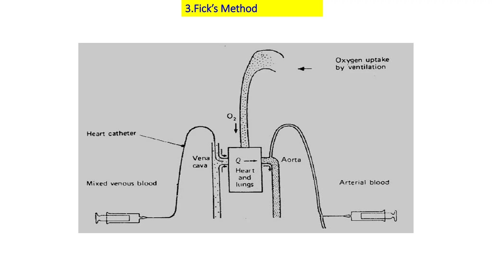 3.Fick’s Method
 