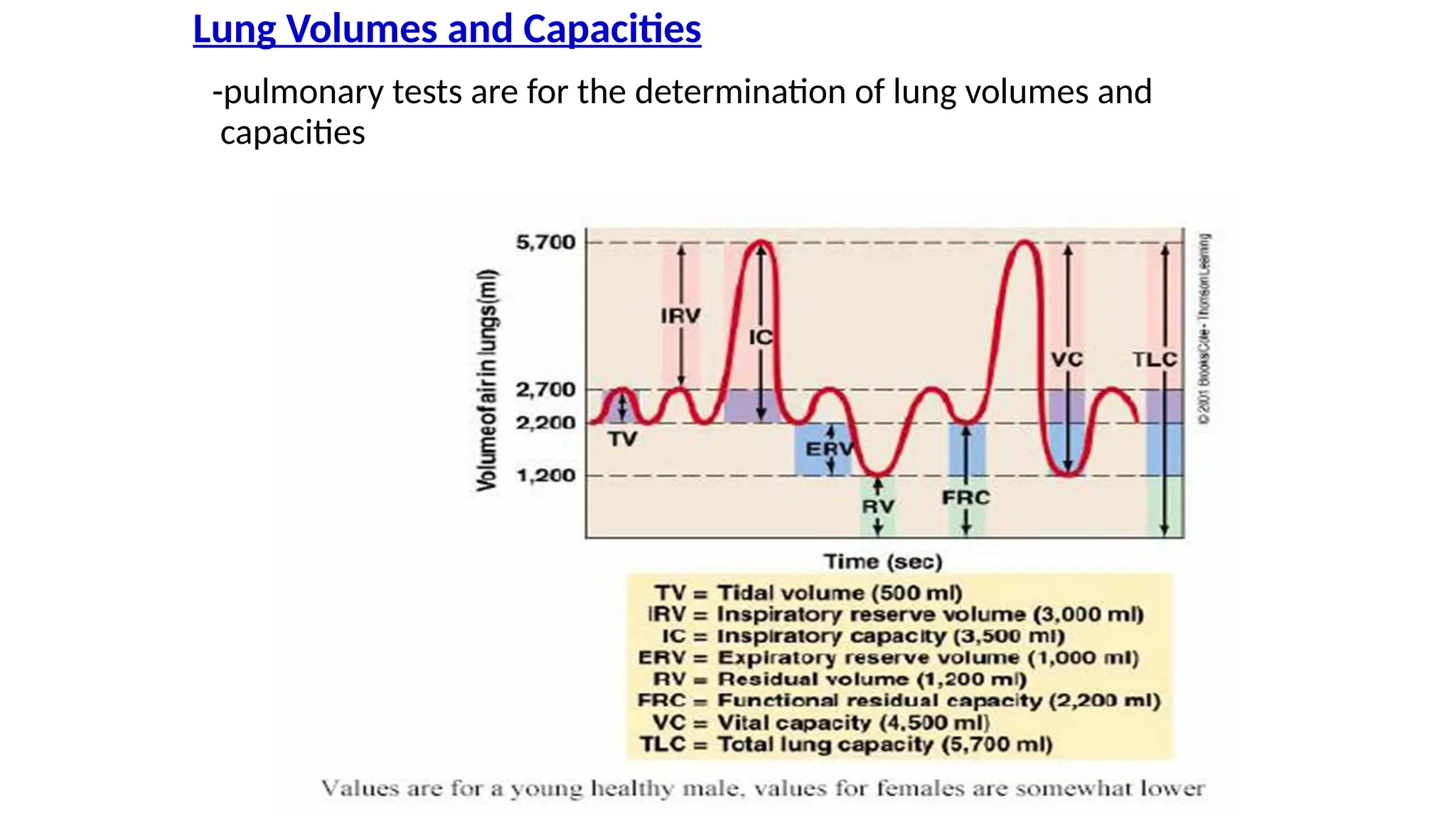 Lung Volumes and Capacities
-pulmonary tests are for the determination of lung volumes and
capacities
 