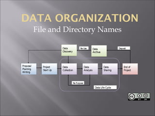 DATA ORGANIZATION
File and Directory Names
 