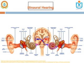 https://www.google.com/url?sa=i&url=https%3A%2F%2Fwww.thehearingaidadvicecentre.co.uk%2Fbinaural-
hearing&psig=AOvVaw05YXdOVFrrT04VJOLyVG59&ust=1599032193044000&source=images&cd=vfe&ved=0CAIQjRxqFwoTCIDTw6a5x-sCFQAAAAAdAAAAABAq
 