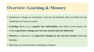 The presentation on Learning and Memory.pptx