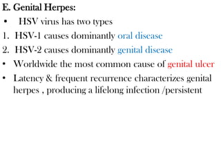 E. Genital Herpes:
• HSV virus has two types
1. HSV-1 causes dominantly oral disease
2. HSV-2 causes dominantly genital disease
• Worldwide the most common cause of genital ulcer
• Latency & frequent recurrence characterizes genital
herpes , producing a lifelong infection /persistent
 