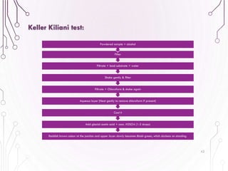 42
Keller Kiliani test:
Reddish brown colour at the junction and upper layer slowly becomes Bluish green, which darkens on standing.
Add glacial acetic acid + conc. H2SO4 (1-2 drops)
Cool it
Aqueous layer (Heat gently to remove chloroform if present)
Filtrate + Chloroform & shake again
Shake gently & filter
Filtrate + lead substrate + water
Filter
Powdered sample + alcohol
 