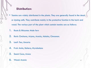 • Tannins are widely distributed in the plants. They are generally found in the dead
or dyeing cells. They contribute mainly in the protective function in the bark and
wood. The various part of the plant which contain tannins are as follows:
1. Roots & Rhizome: Male fern
2. Bark: Cinchona, Arjuna, Acacia, Ashoka, Cinnamon.
3. Leaf: Tea, Uncaria
4. Fruit: Amla, Bahera, Myrobalans
5. Seed: Coca, Areca
6. Wood: Acacia 62
Distribution:
 