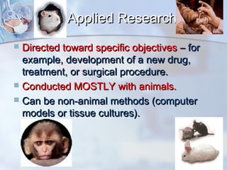 AApppplliieedd RReesseeaarrcchh 
 DDiirreecctteedd ttoowwaarrdd ssppeecciiffiicc oobbjjeeccttiivveess –– ffoorr 
eexxaammppllee,, ddeevveellooppmmeenntt ooff aa nneeww ddrruugg,, 
ttrreeaattmmeenntt,, oorr ssuurrggiiccaall pprroocceedduurree.. 
 CCoonndduucctteedd MMOOSSTTLLYY wwiitthh aanniimmaallss.. 
 CCaann bbee nnoonn--aanniimmaall mmeetthhooddss ((ccoommppuutteerr 
mmooddeellss oorr ttiissssuuee ccuullttuurreess)).. 
 