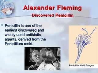 AAlleexxaannddeerr FFlleemmiinngg 
DDiissccoovveerreedd PPeenniicciilllliinn 
 PPeenniicciilllliinn iiss oonnee ooff tthhee 
eeaarrlliieesstt ddiissccoovveerreedd aanndd 
wwiiddeellyy uusseedd aannttiibbiioottiicc 
aaggeennttss,, ddeerriivveedd ffrroomm tthhee 
PPeenniicciilllliiuumm mmoolldd.. 
 