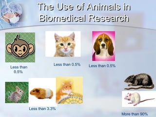 TThhee UUssee ooff AAnniimmaallss iinn 
BBiioommeeddiiccaall RReesseeaarrcchh 
Less than 
0.5% 
Less than 0.5% Less than 0.5% 
More than 90% 
Less than 3.3% 
 