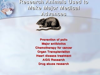 Research AAnniimmaallss UUsseedd ttoo 
MMaakkee MMaajjoorr MMeeddiiccaall 
AAddvvaanncceess 
PPrreevveennttiioonn ooff ppoolliioo 
MMaajjoorr aannttiibbiioottiiccss 
CChheemmootthheerraappyy ffoorr ccaanncceerr 
OOrrggaann TTrraannssppllaannttaattiioonn 
HHeeaarrtt ddiisseeaassee ttrreeaattmmeenntt 
AAIIDDSS RReesseeaarrcchh 
DDrruugg aabbuussee rreesseeaarrcchh 
 