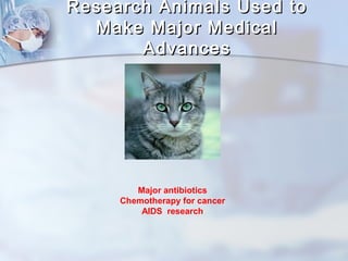 Research AAnniimmaallss UUsseedd ttoo 
MMaakkee MMaajjoorr MMeeddiiccaall 
AAddvvaanncceess 
Major antibiotics 
Chemotherapy for cancer 
AIDS research 
 