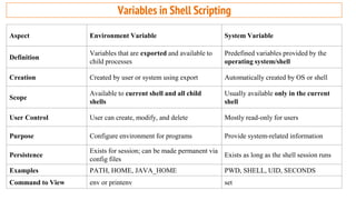 Shell Senv Comprehensive Introduction to Operating Systems: Functions, Types, and ...