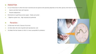  PARASITISM
 It is an interaction in which the host is harmed and one species (the parasite) depends on the other species (the host) for food and shelter.
 Insects and their hosts self-improve.
 Parasite adaptations
 Elimination of superfluous sense organs - Hooks and sucker
 - Digestive system loss - High reproductive potential
 Parasites-
 (i) Decrease the host's chances of survival;
 (ii) Slow down the rate of growth and reproduction; and
 (iii) Make the host weaker so that it is more susceptible to predators
 