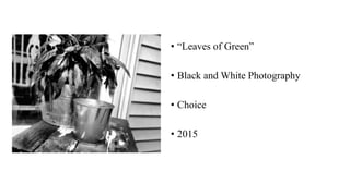 • “Leaves of Green”
• Black and White Photography
• Choice
• 2015
 