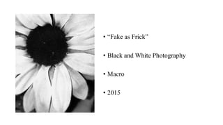 • “Fake as Frick”
• Black and White Photography
• Macro
• 2015
 
