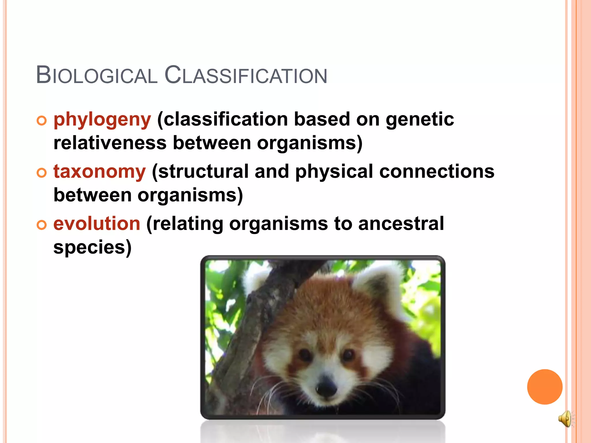 Biological Classificationphylogeny (classification based on genetic relativeness between organisms)taxonomy (structural and physical connections between organisms)evolution (relating organisms to ancestral species)