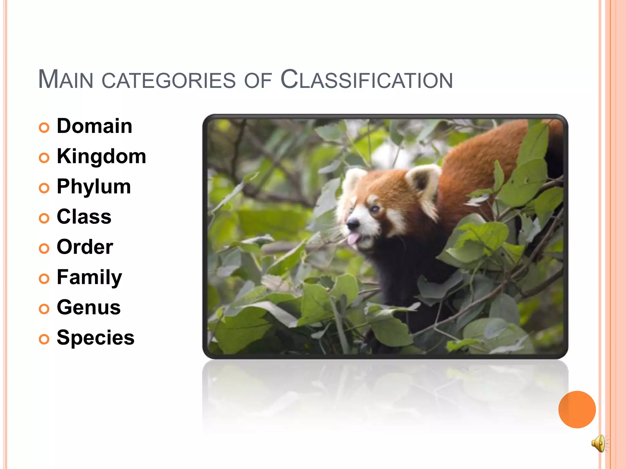 Main categories of ClassificationDomainKingdomPhylumClassOrderFamilyGenusSpecies