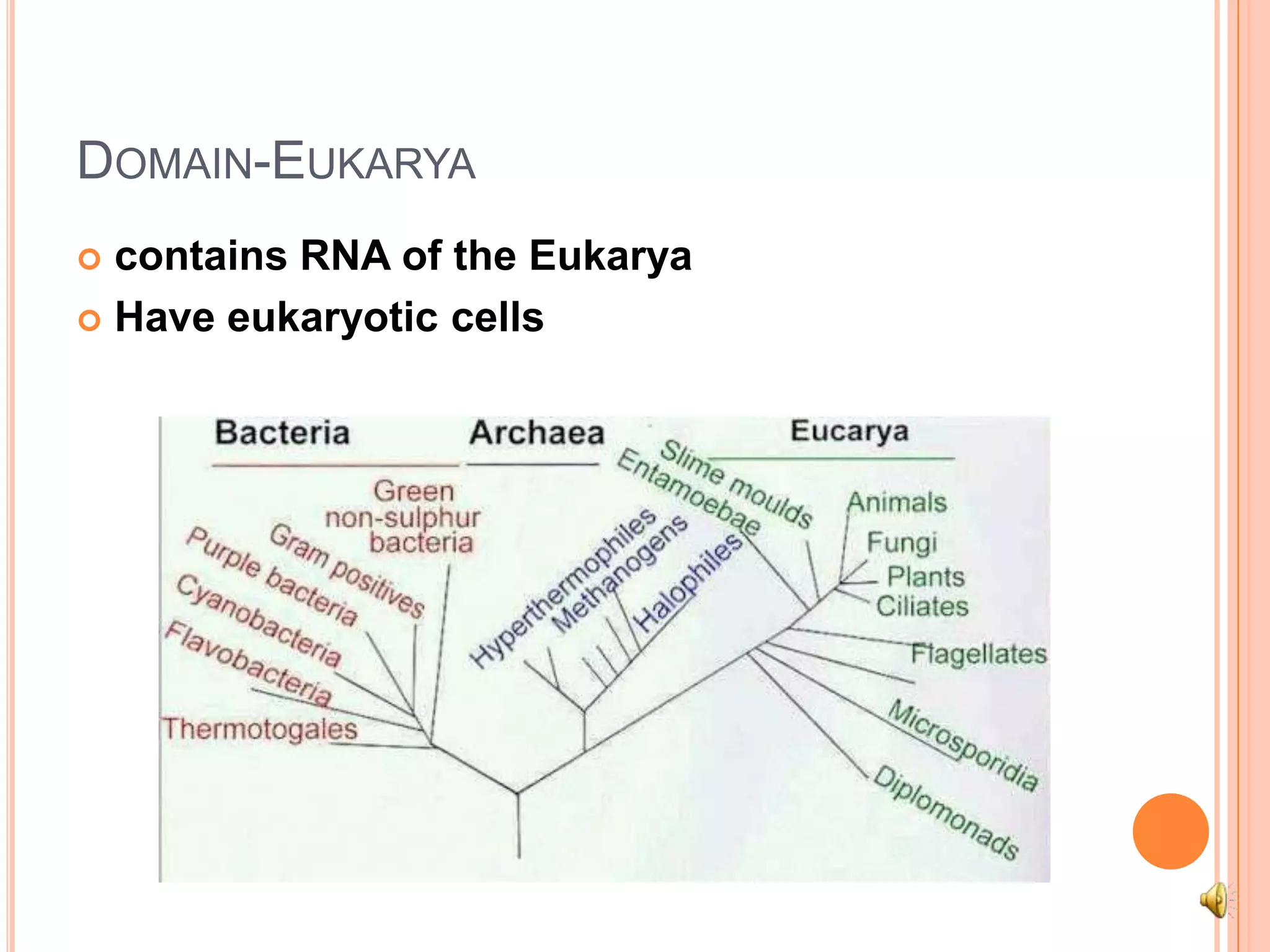 Domain-Eukaryacontains RNA of the EukaryaHave eukaryotic cells