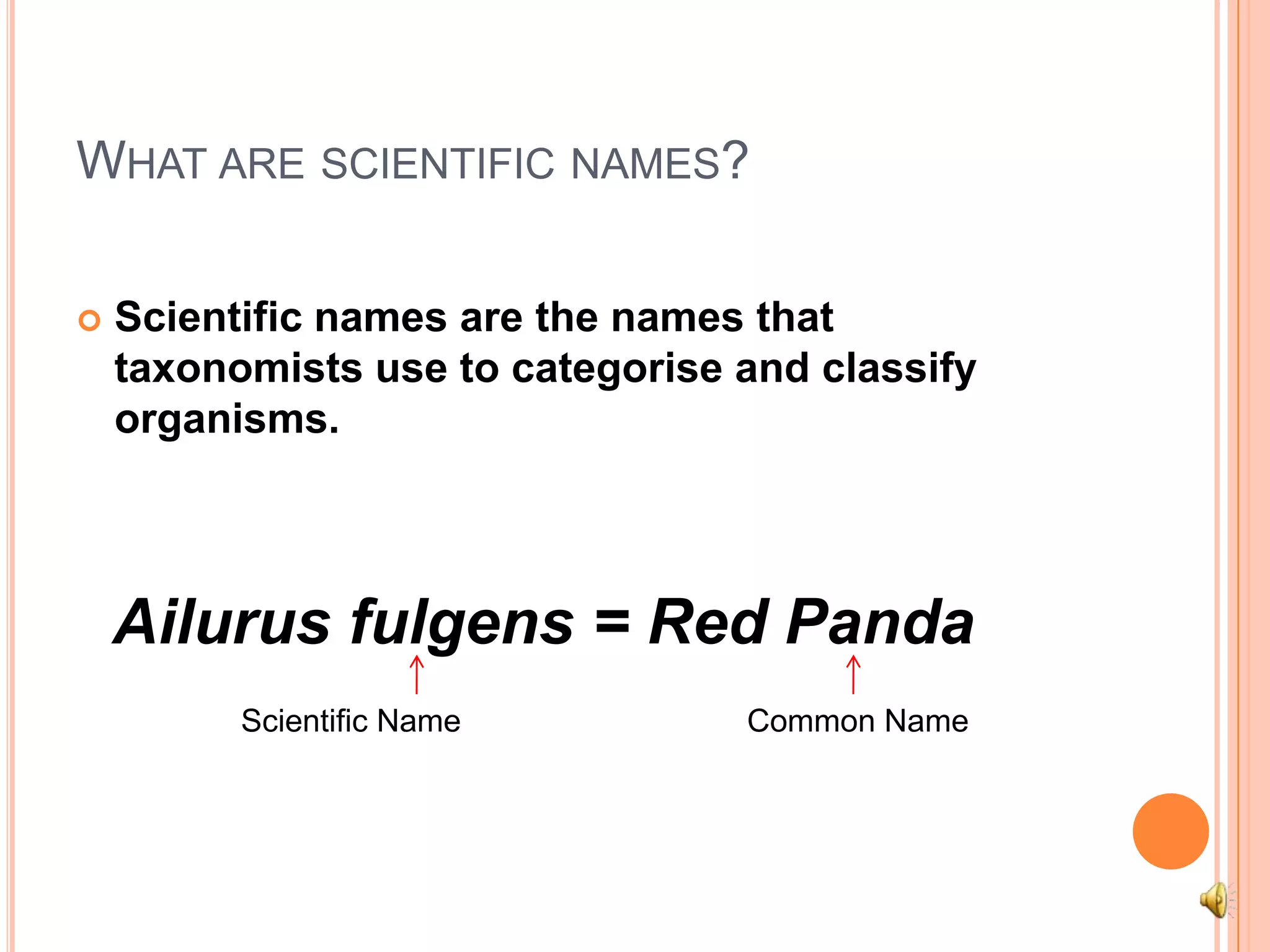 What are scientific names?Scientific names are the names that taxonomists use to categorise and classify organisms. Ailurusfulgens= Red PandaScientific Name Common Name