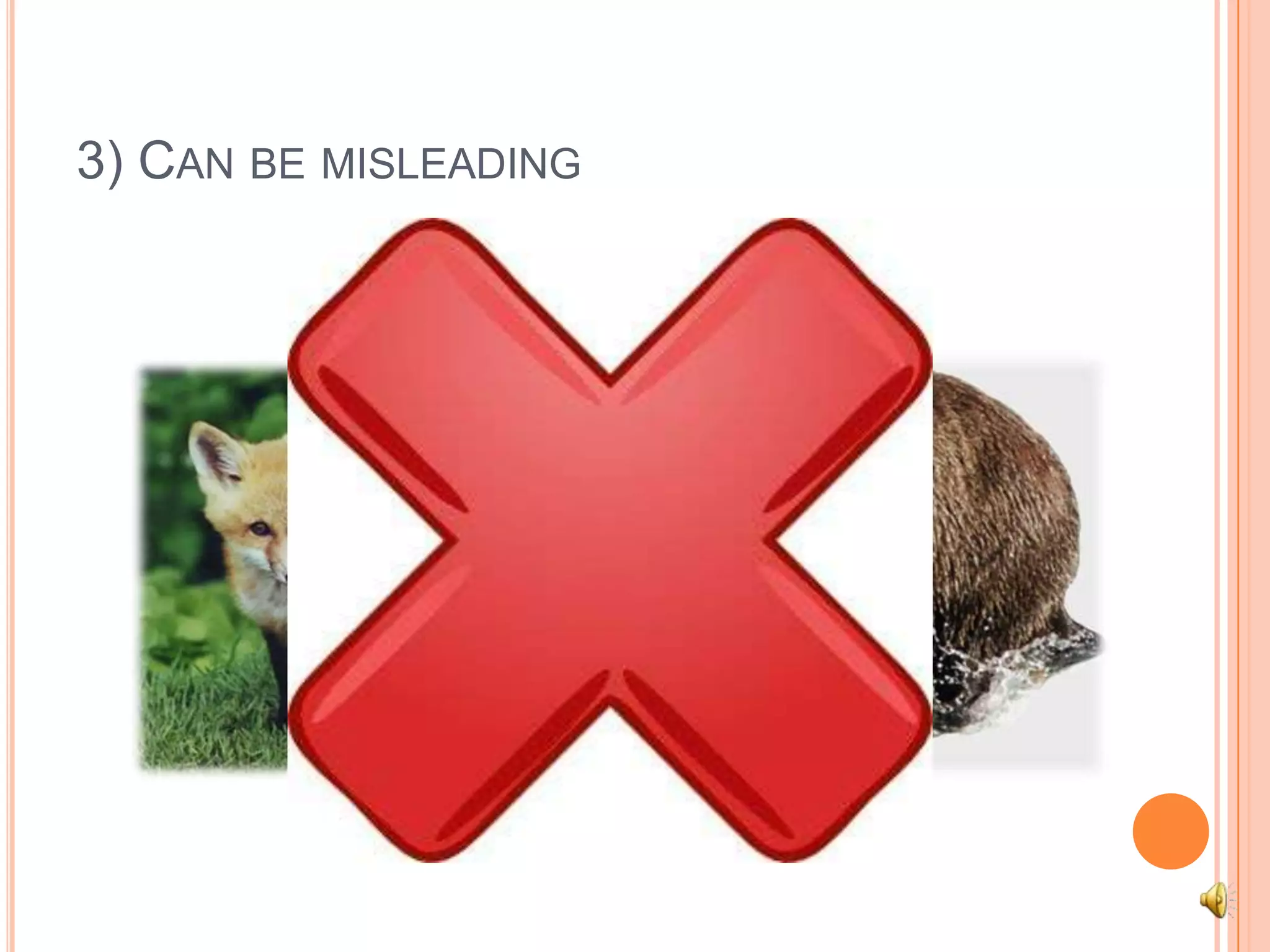 3) Can be misleadingFoxBear