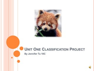 Unit One Classification Project By Jennifer Tu 10C 
