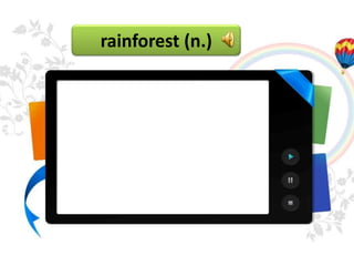 rainforest (n.)
 