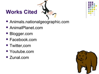 Works Cited
 Animals.nationalgeographic.com
 AnimalPlanet.com
 Blogger.com
 Facebook.com
 Twitter,com
 Youtube.com
 Zunal.com
 